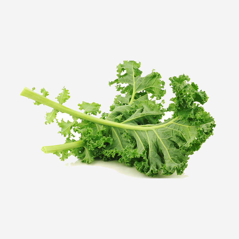Broccoli JA - Image 3