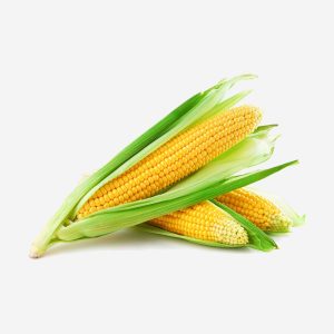 Dry Sweet Corn
